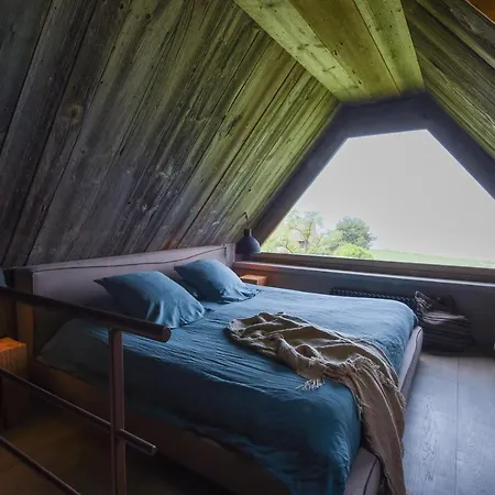 酒店 舍内尔酒店