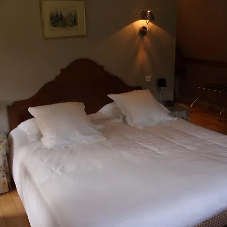 舍内尔酒店 4* 翁弗勒尔