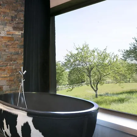 酒店 舍内尔酒店