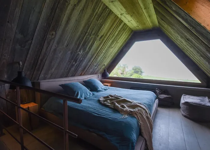 酒店 舍内尔酒店