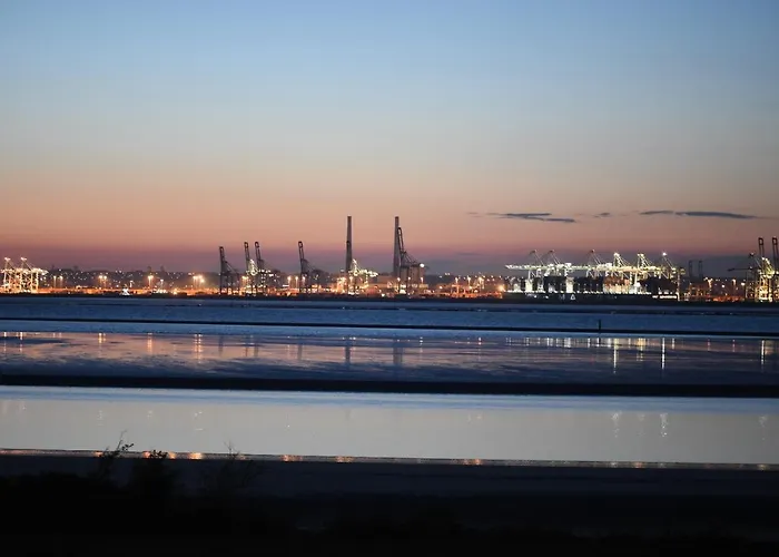 舍内尔酒店 酒店