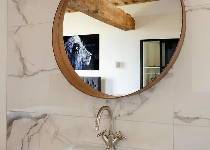 舍内尔酒店 酒店 翁弗勒尔