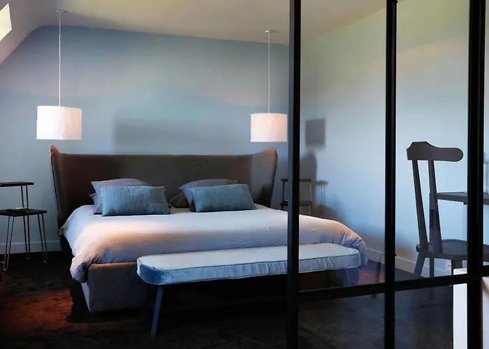 舍内尔酒店 酒店 翁弗勒尔