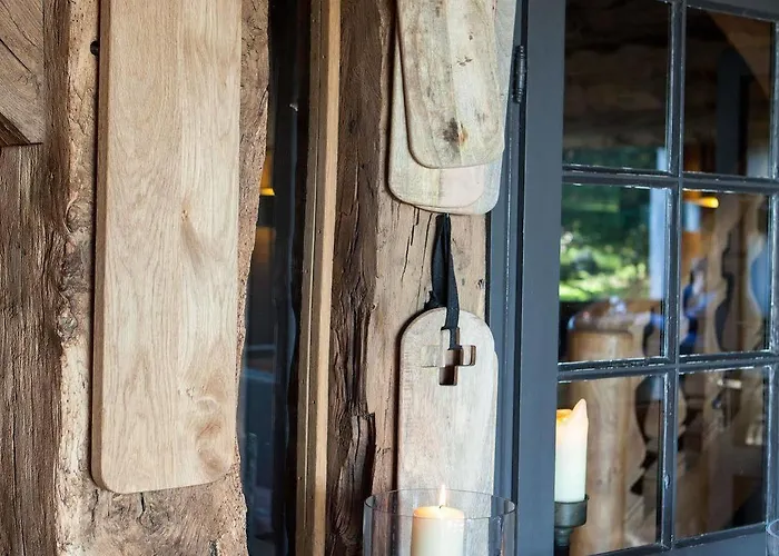 酒店 舍内尔酒店 4*