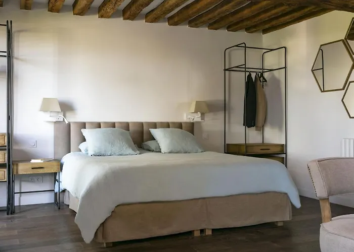 舍内尔酒店 酒店 翁弗勒尔