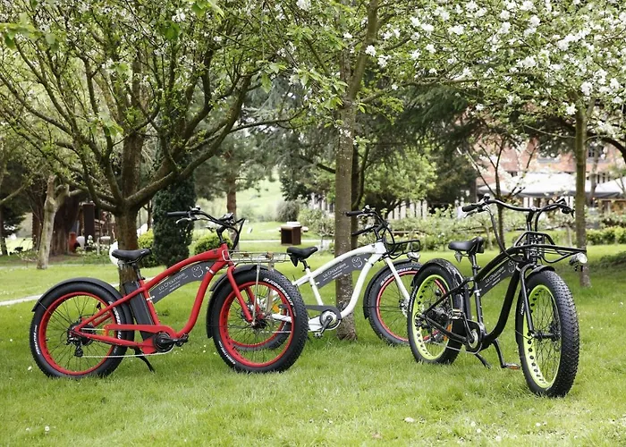 酒店 舍内尔酒店 翁弗勒尔